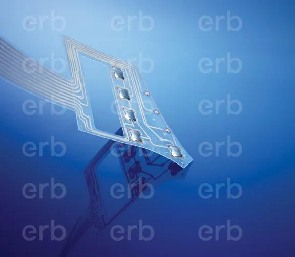 'ın Membran Switch'lerin Ters Mühendislik Kapasitesi